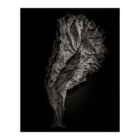 Leaves No 9 (Print Only)