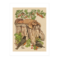 Splootingcolor (Print Only)