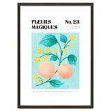 Magical Flowers No.23 Apricot Blossom thumbnail