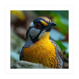Close-up of a Yellow Bird featuring a Striking Red eye (Print Only) thumbnail