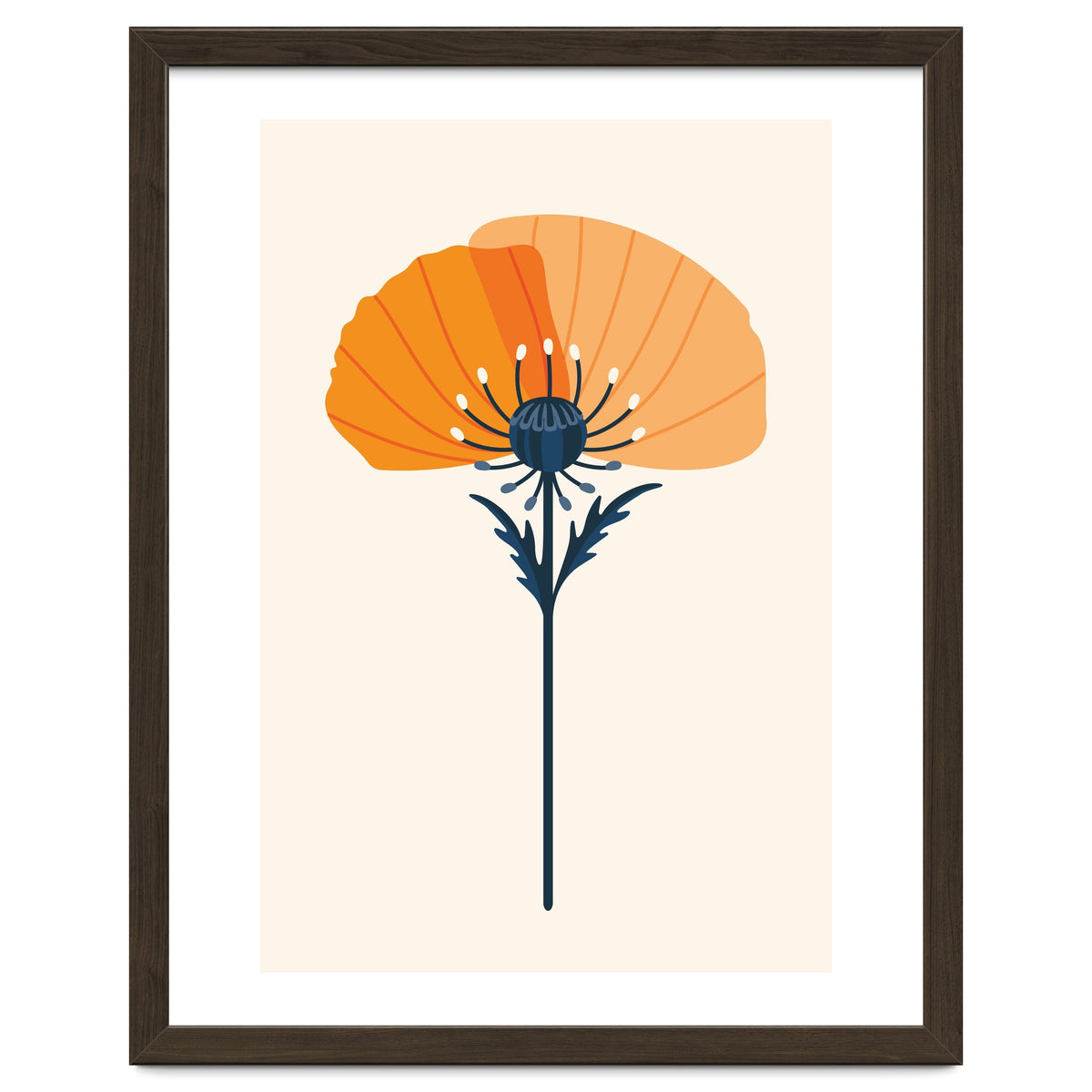 Orange Half Poppy