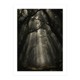Enchanted Canopy: Mystical Forest Path (Print Only) thumbnail