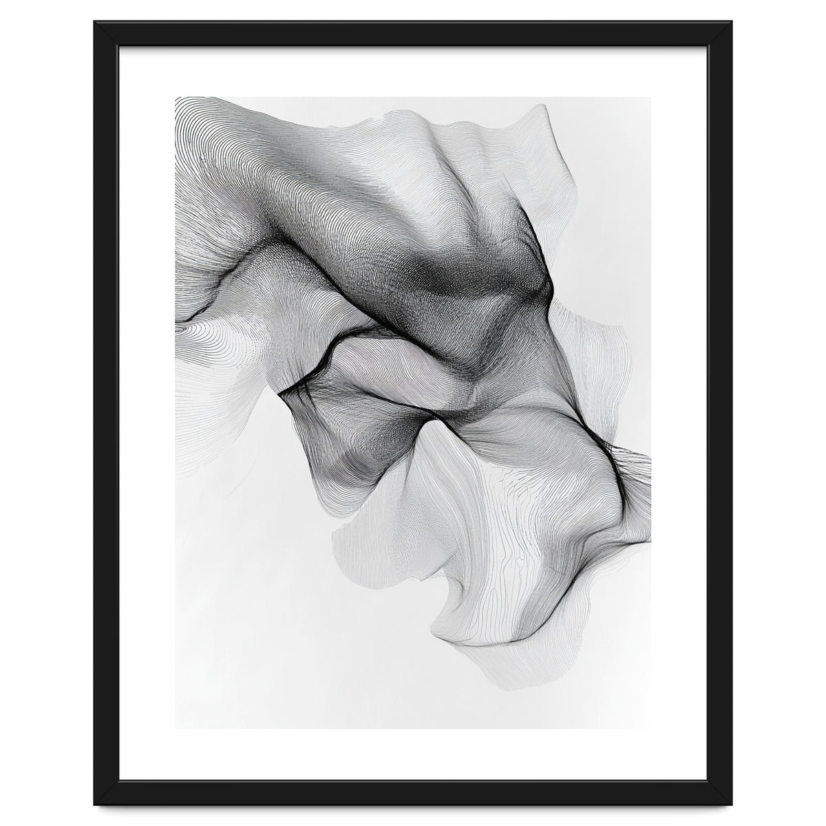 Abstract Black And White Flowing Lines Forming Organic Shapes And Forms
