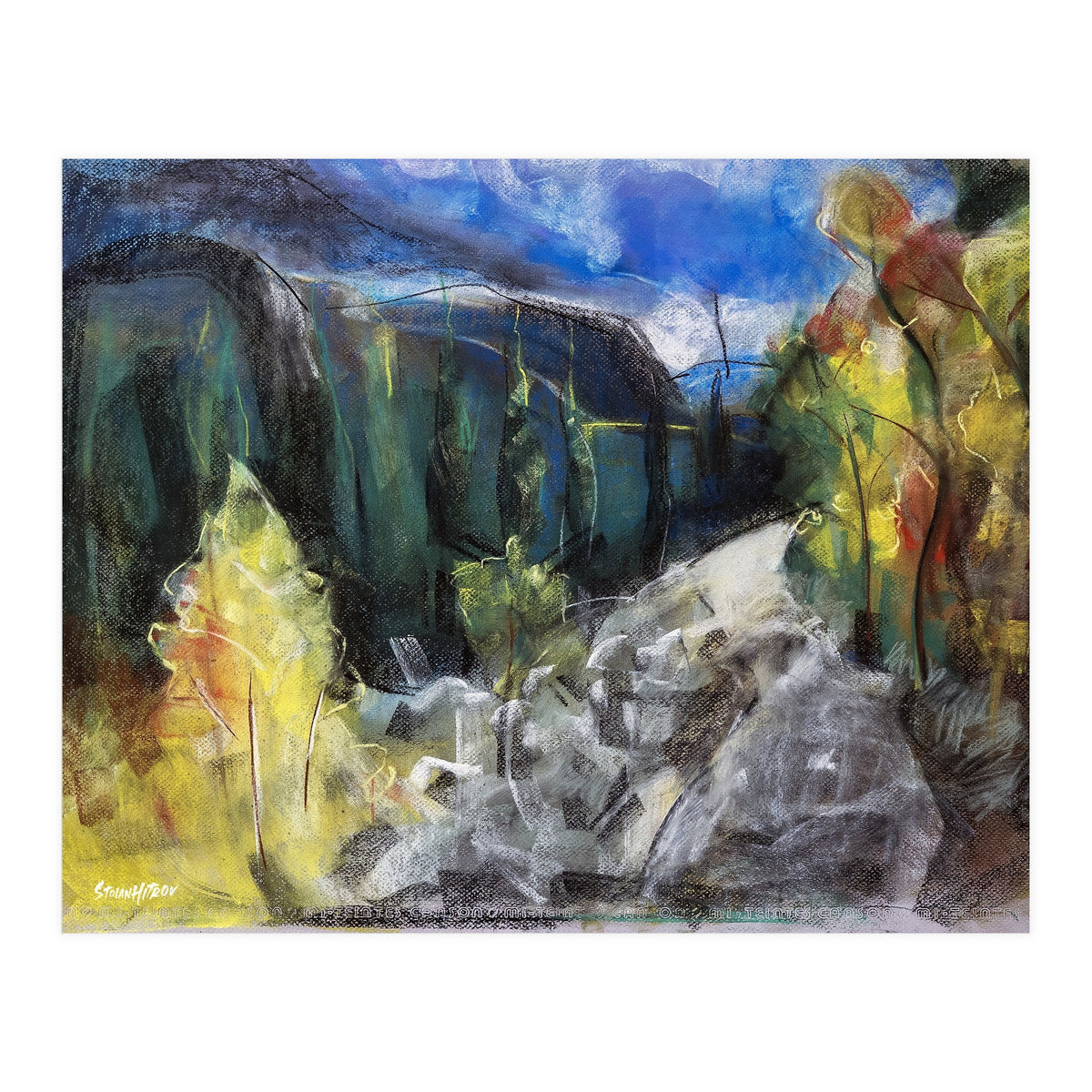 The Forest of Rila Mountain (Print Only)