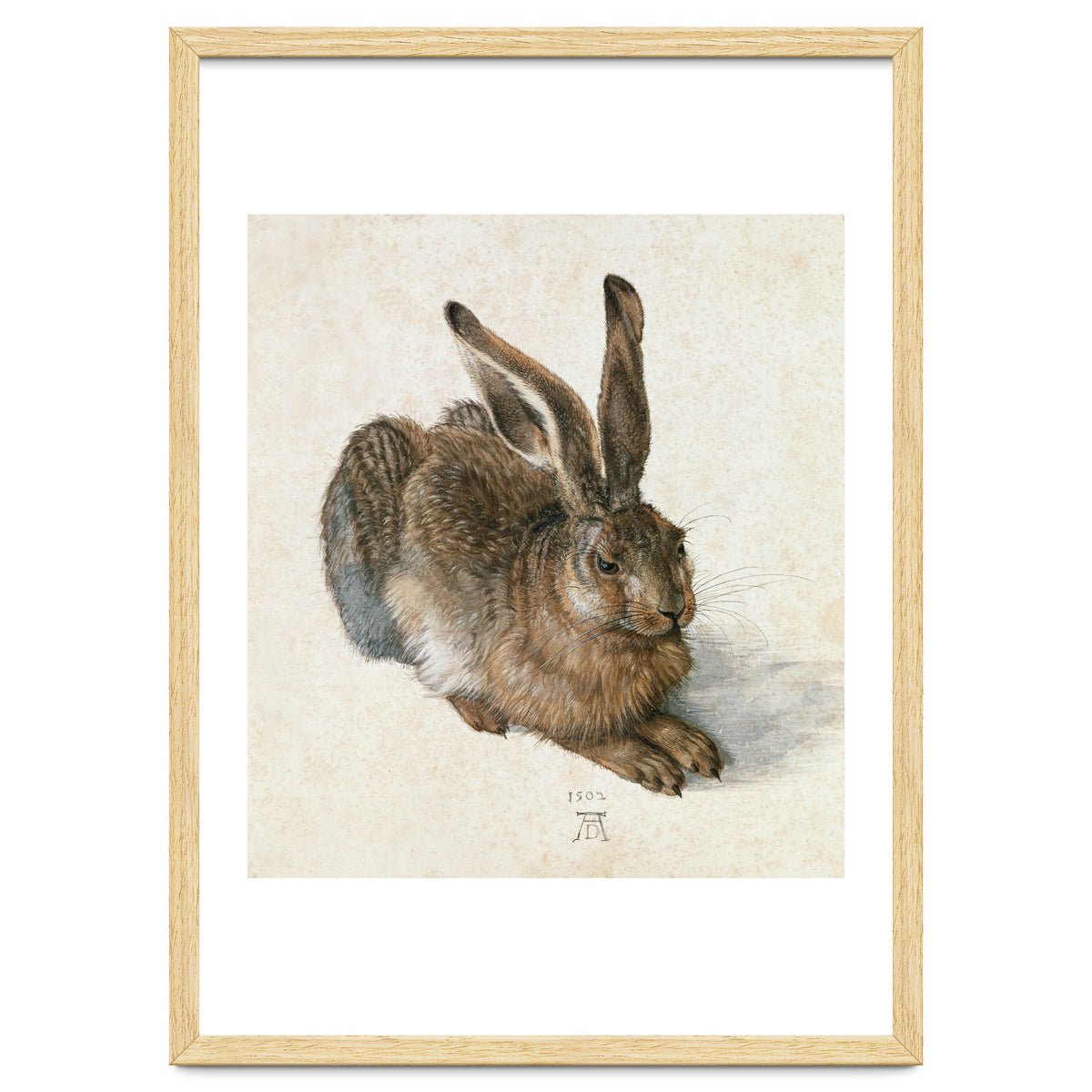 Hare-Hase. Watercolour.