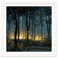 Enchanted Midnight Forest with Glowing Fireflies