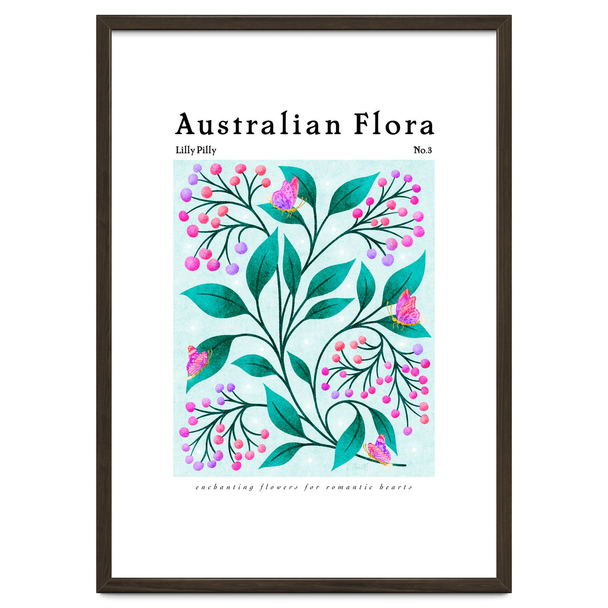 Australian Flora: Lilly Pilly