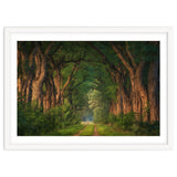 Soft morning light thumbnail