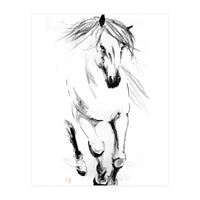 Runninh Ghorse In Water (Print Only)