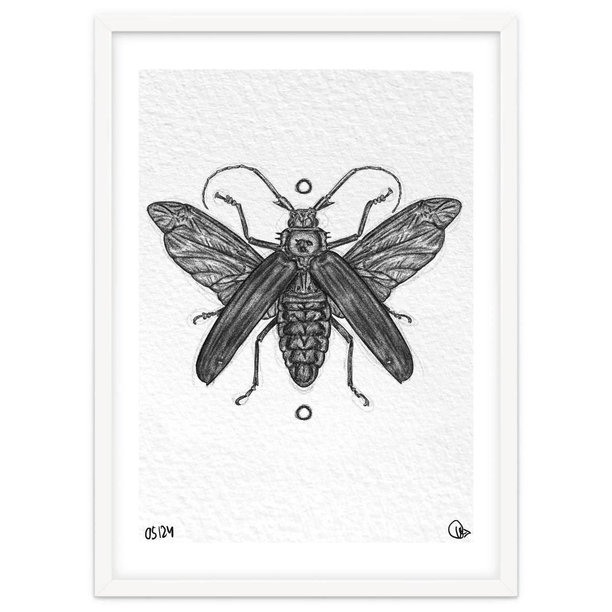 Riesen Longhorn Käfer