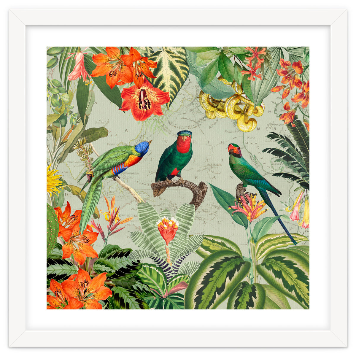 Exotic Parrots Jungle Landscape