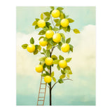 Lemon Tree  (Print Only) thumbnail