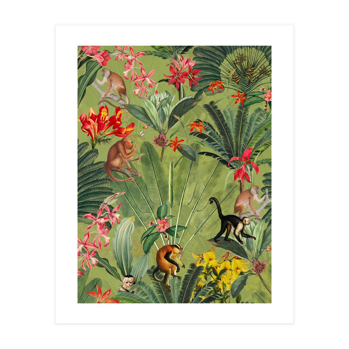 Monkeys In Tropical Jungle Paradise (Print Only)