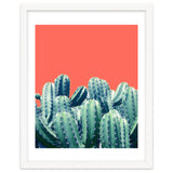 Cactus On Coral thumbnail