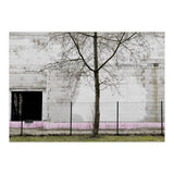 A tree in front of the wall (Print Only) thumbnail