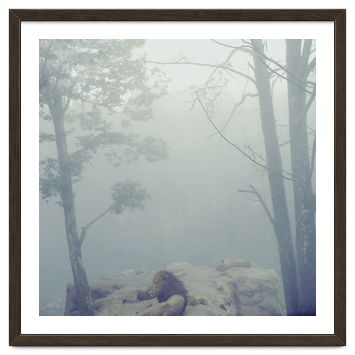 Silence of breath - 02