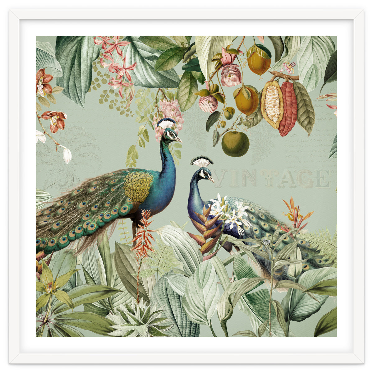 Vintage Exotic Asian Peacocks In Tropical Jungle Landscape