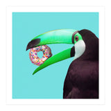 Sweet Toucan (Print Only) thumbnail