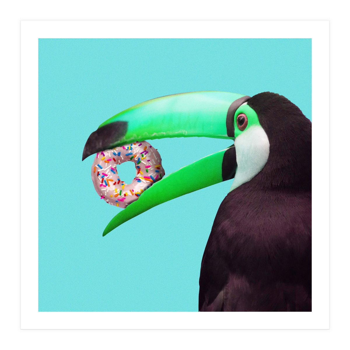 Sweet Toucan (Print Only)