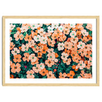 Floral Bliss, Nature Photography Garden Meadow, Blush Orange Coral Summer Flowers Botanical