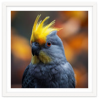 Close-up Portrait of a Yellow Cockatoo in the Wild.