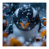 Close Up Of A Gentoo Penguin In The Snow (Print Only) thumbnail