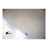 The Little Prince (Print Only) thumbnail