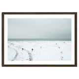 Seagulls in the winter snow beach thumbnail