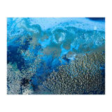 Revitalize (Print Only) thumbnail