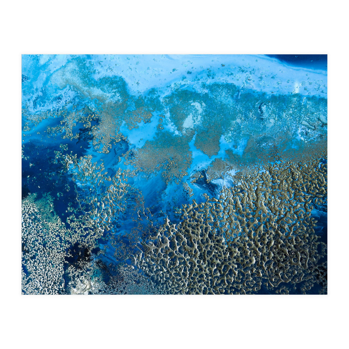 Revitalize (Print Only)