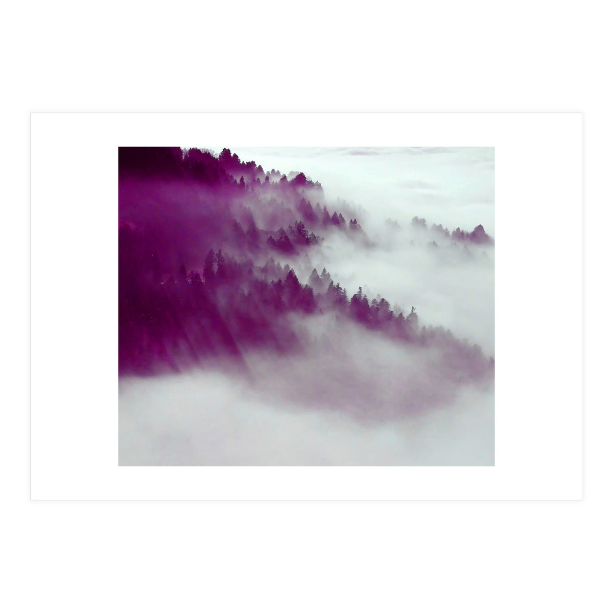 Forest Fog (Print Only)
