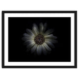 Backyard Flowers No 27 Color Version thumbnail