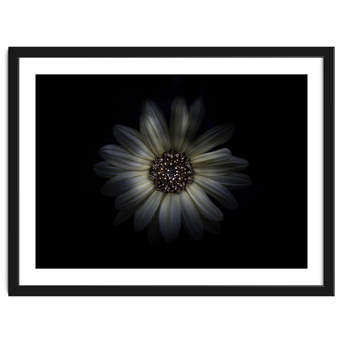 Backyard Flowers No 27 Color Version