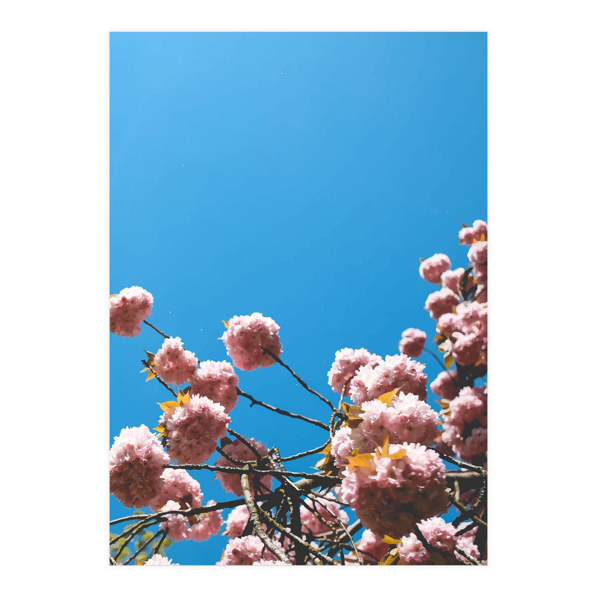 Pink Summer (Print Only)