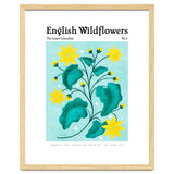 English Wildflowers | Lesser Celandine thumbnail