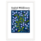 English Wildflowers | Forget-Me-Not thumbnail