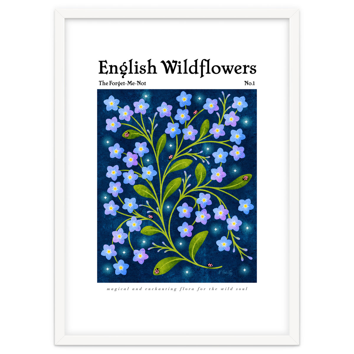 English Wildflowers | Forget-Me-Not