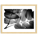 Branches and Leaves, 2016, 3 thumbnail