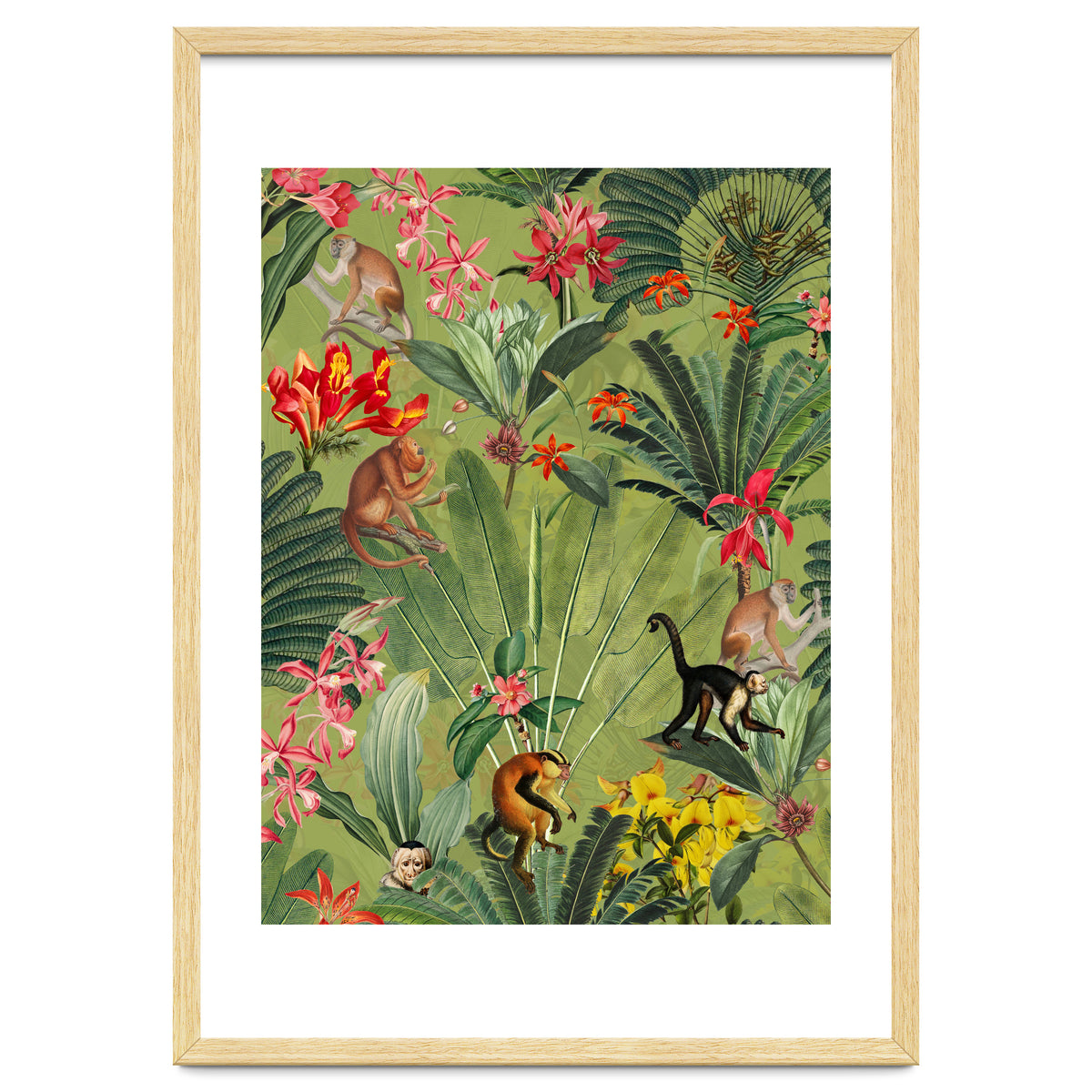 Monkeys In Tropical Jungle Paradise