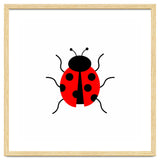Lady Bug thumbnail