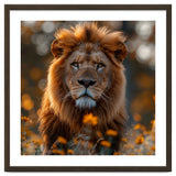 Majestic Lion Among Golden Flowers Close Up thumbnail