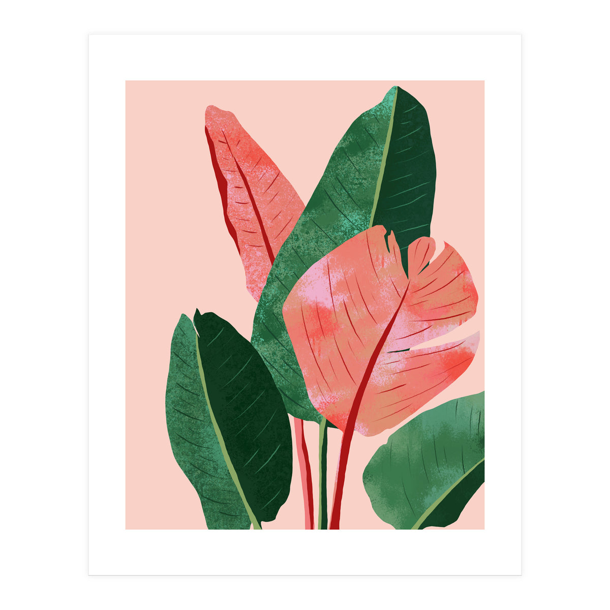 Blush Tropical, Banana Leaves Watercolor Botanical Jungle Painting, Forest Plants Leaves Pink Chic Bohemian (Print Only)