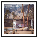 Palm Springs Pink II thumbnail