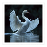Majestic White Swan Spreading Wings On Water (Print Only) thumbnail