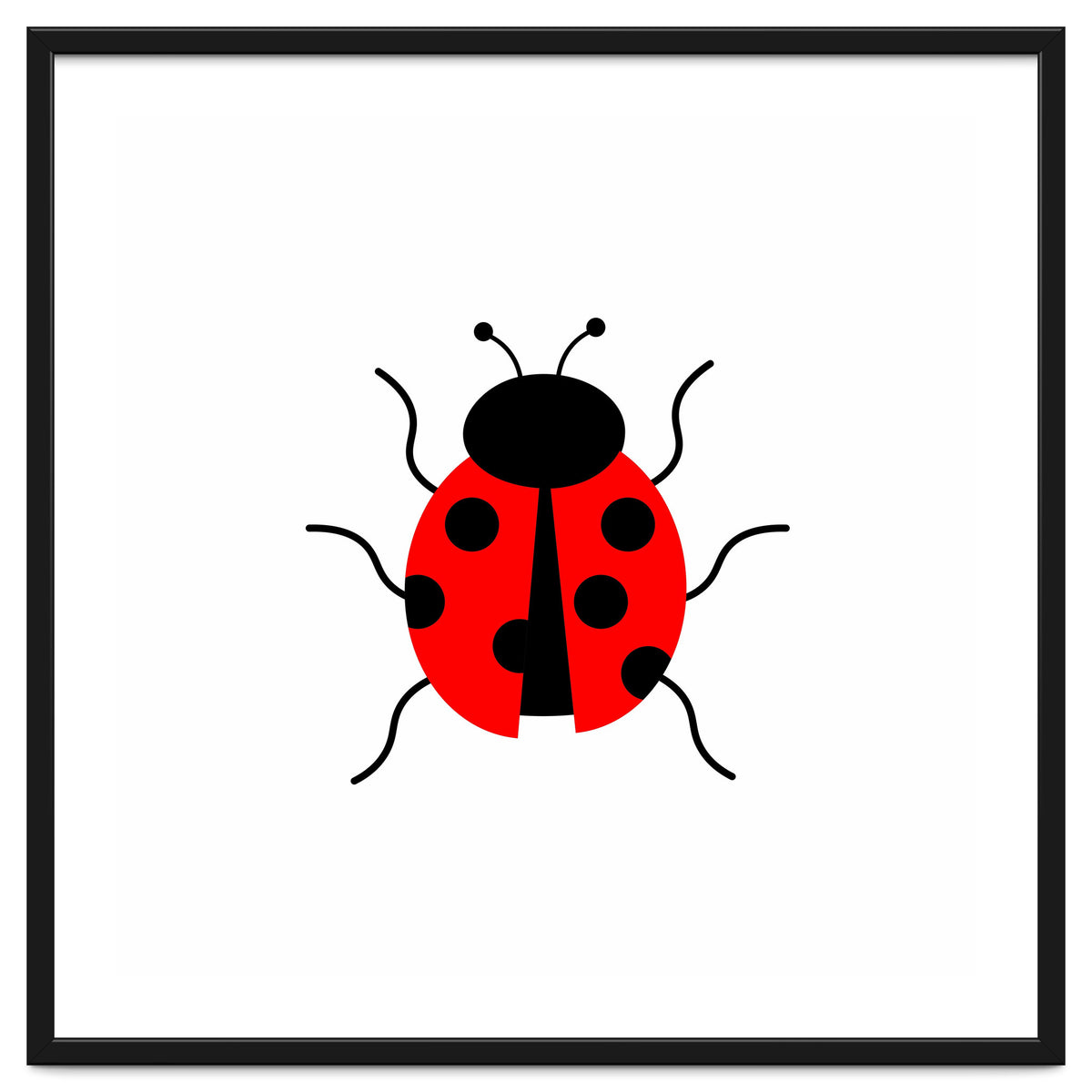 Lady Bug