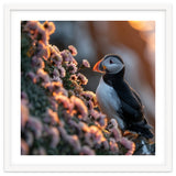 Puffin Bird On Rocks Near Pink Flowers At Sunset thumbnail