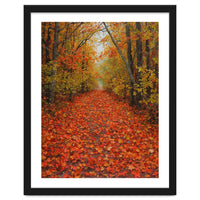 Lush Autumn Forest Path Covered