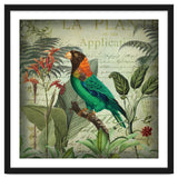 Tropical Bird Nostalgia thumbnail