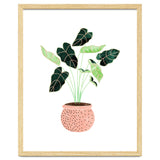 Home Plant | Ceramic Botanical Planter Illustration | Minimal Bohemian Watercolor Painting Polka Dot thumbnail
