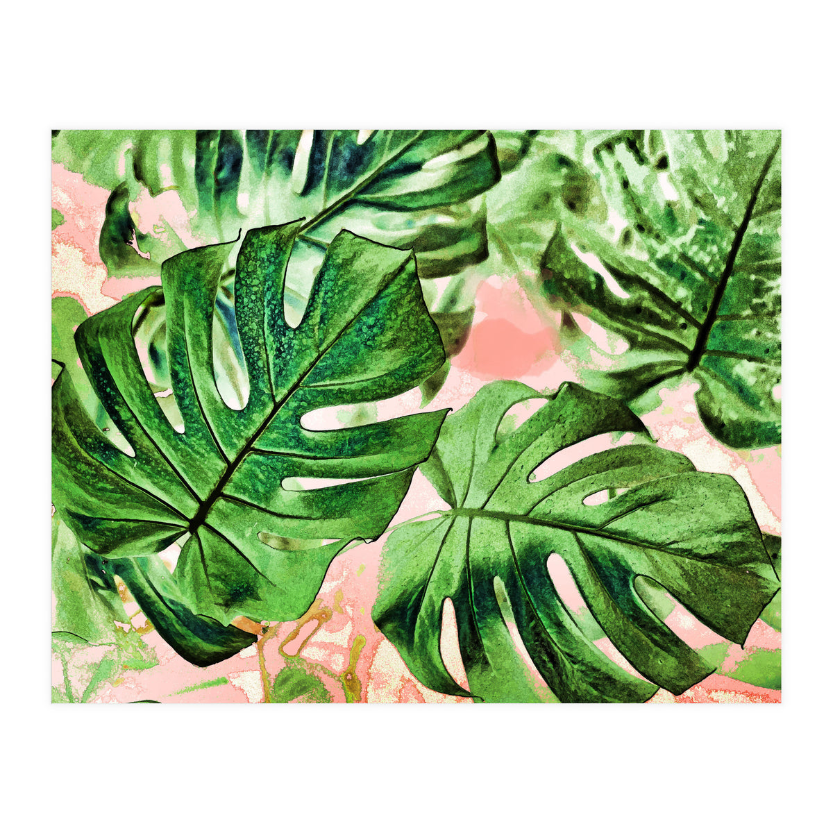 Monstera Beauty #society6 #decor #buyart (Print Only)